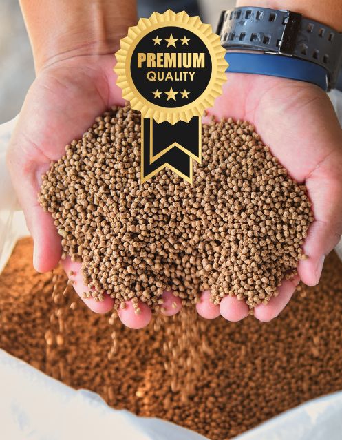 Fish Feed Production